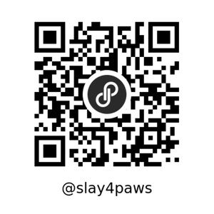 Mens The North Face boots 11 brown